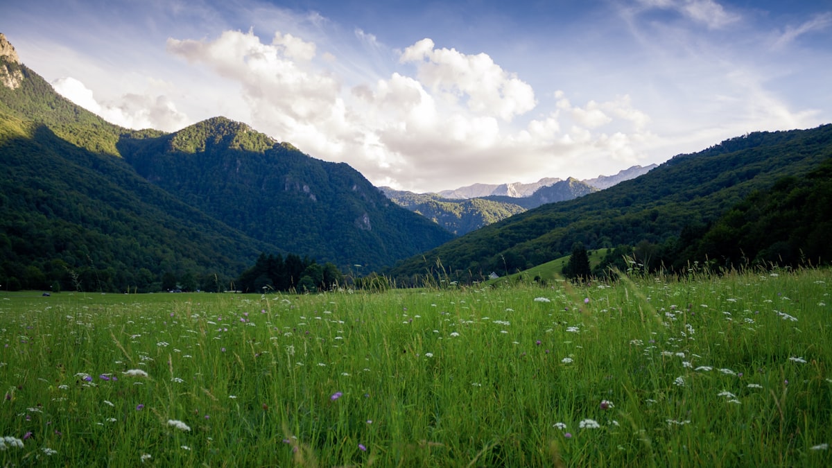 Berapa Kos Sebenar Umrah 2025? Pecahan Perbelanjaan Lengkap